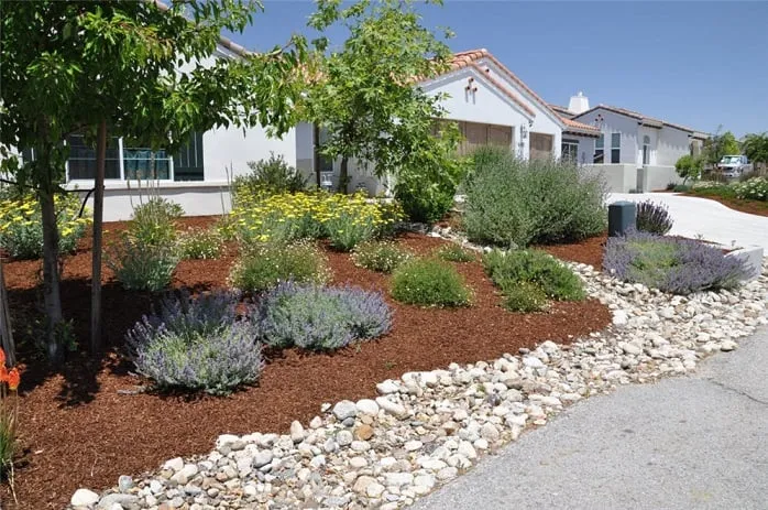 Expert yard maintenance in Los Angeles, CA - Drought Tolerant Gardeners