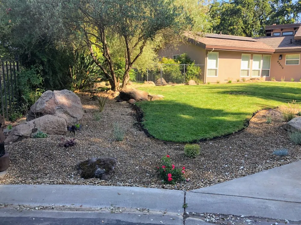 Trusted outdoor landscaping for beautiful yards in Davis, CA by Drought Tolerant Landscapes
