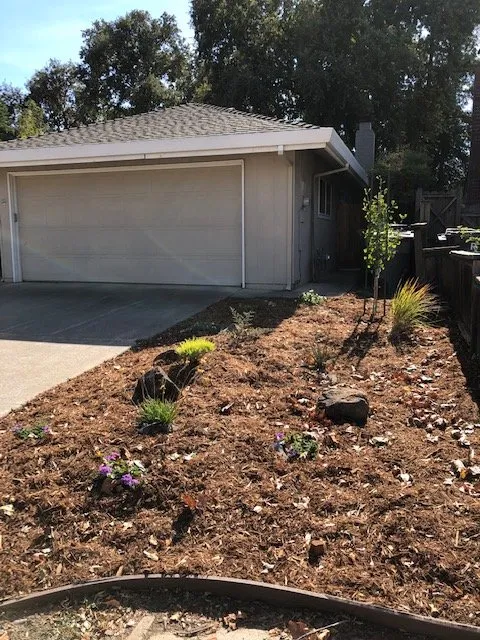 Custom outdoor landscaping in Davis, CA by Drought Tolerant Landscapes