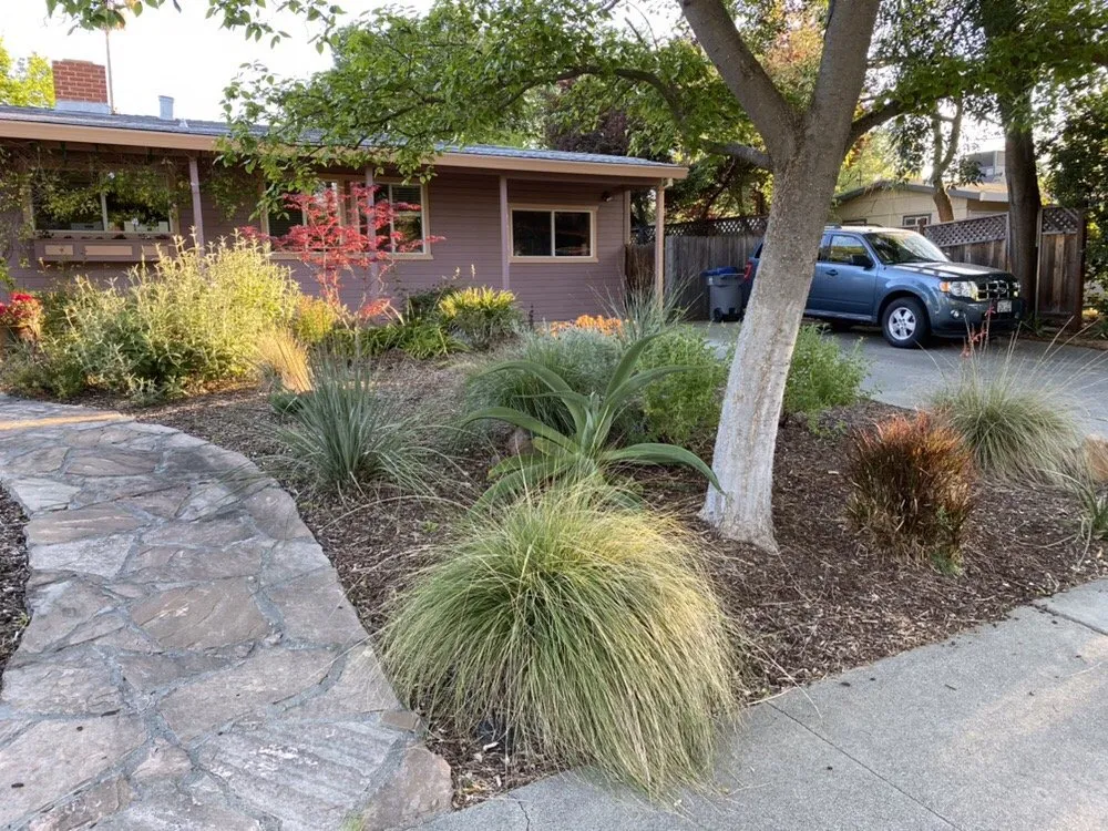 Affordable yard cleanup service for residential properties in Davis, CA by Drought Tolerant Landscapes