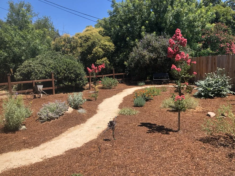 Local outdoor landscaping in Davis, CA by Drought Tolerant Landscapes