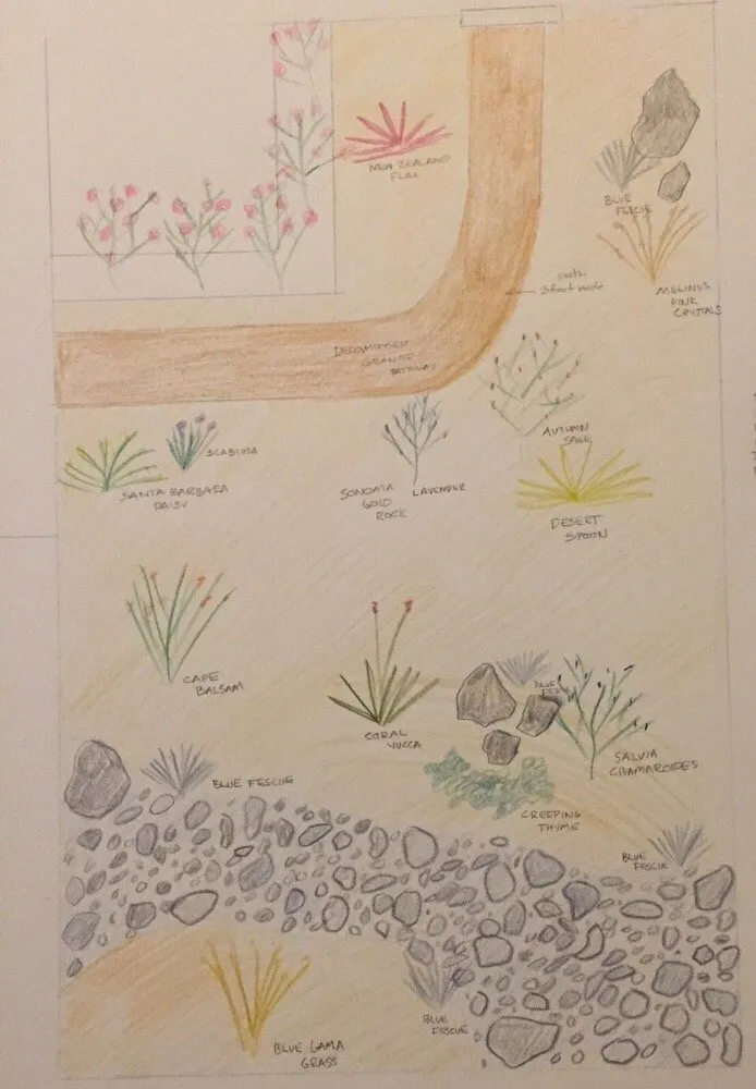 Expert landscaping services for outdoor upgrades across Davis, CA - Drought Tolerant Landscapes