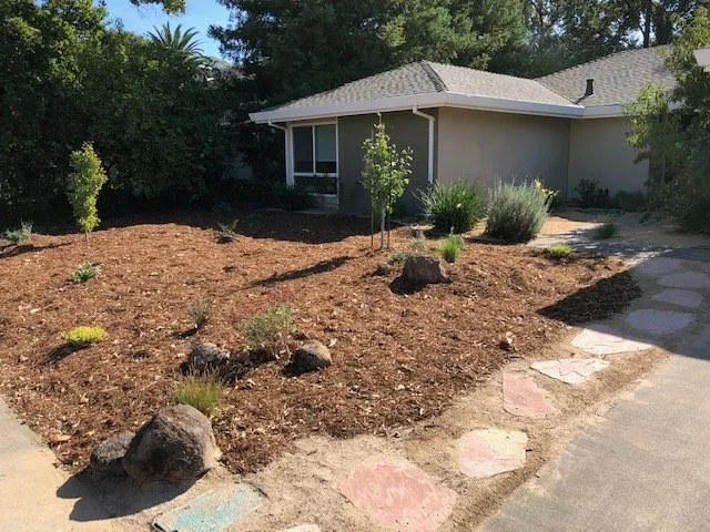 Reliable lawn mowing service in Davis, CA by Drought Tolerant Landscapes