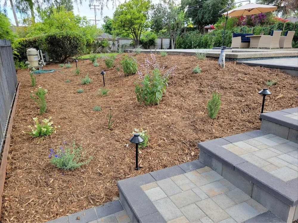 Affordable residential landscaping for outdoor upgrades across La Canada Flintridge, CA - Droughtscape