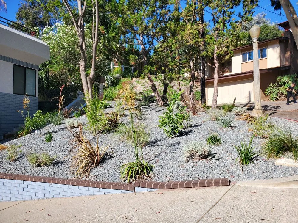 Local outdoor landscaping with custom design across La Canada Flintridge, CA - Droughtscape