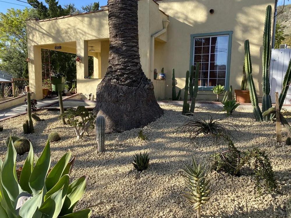 Trusted landscaping services for year-round maintenance in La Canada Flintridge, CA by Droughtscape
