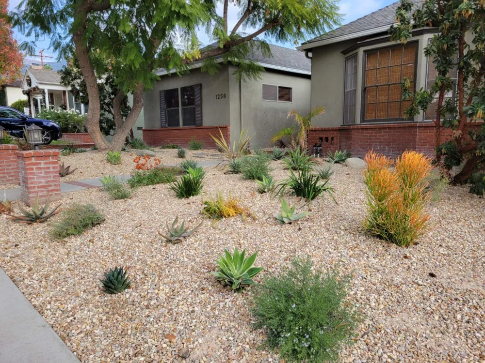 Trusted yard maintenance for beautiful yards in La Canada Flintridge, CA by Droughtscape