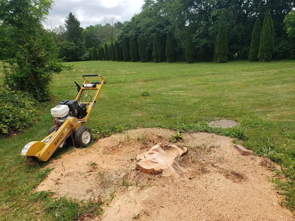 Custom landscape design in Newport, PA by DRS Landscaping & Tree Services