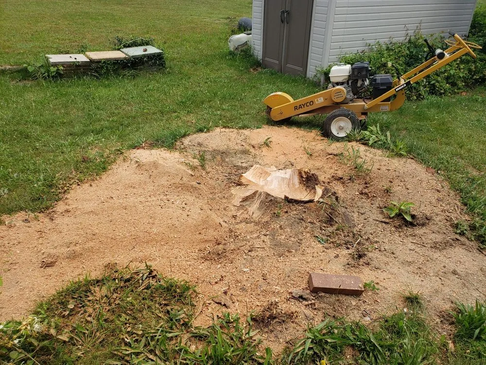 Custom landscaping services for year-round maintenance across Newport, PA - DRS Landscaping & Tree Services