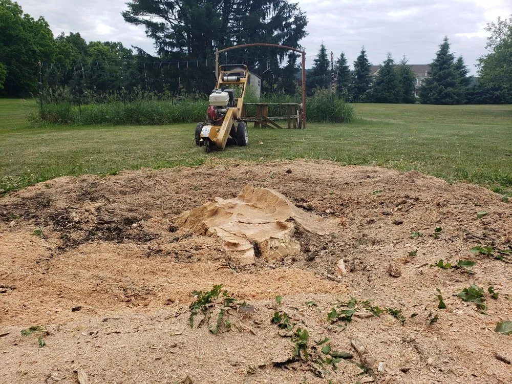 Affordable yard cleanup service with custom design in Newport, PA by DRS Landscaping & Tree Services