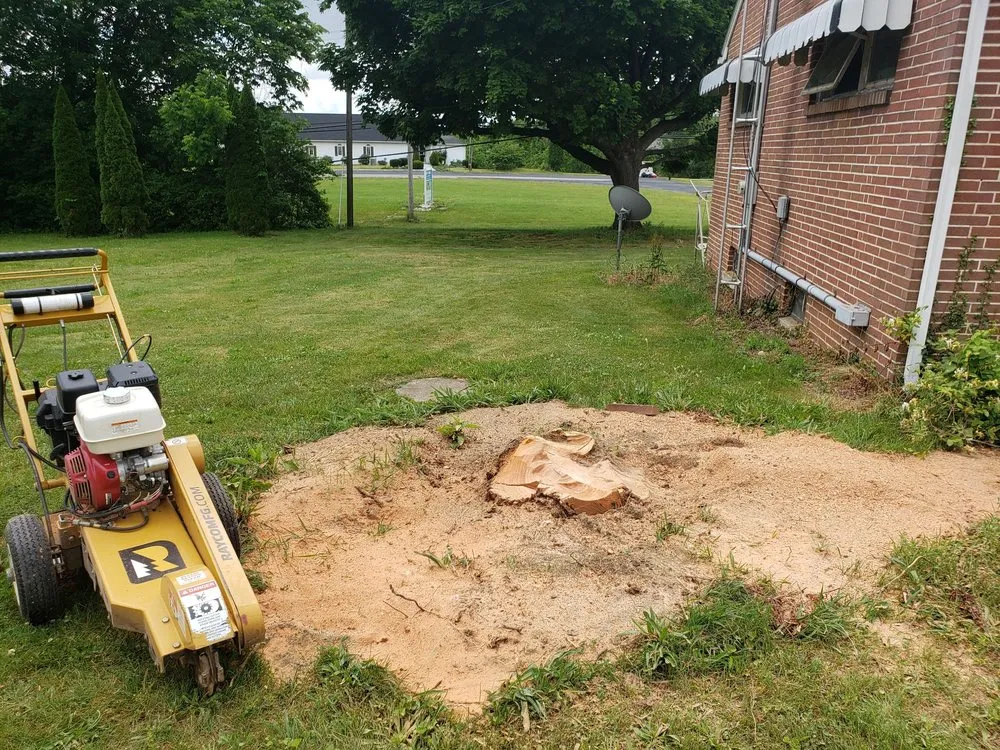 Top-rated landscape design experts serving Newport, PA - DRS Landscaping & Tree Services