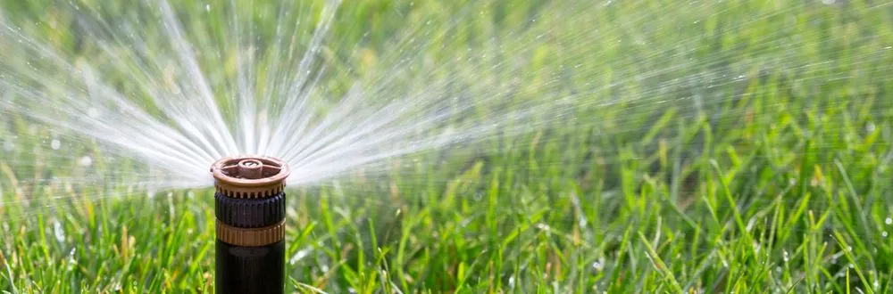 Trusted landscape design experts serving Boca Raton, FL - D.R's Lawn Service