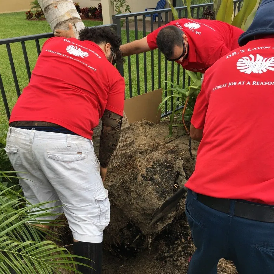 Reliable landscape design for beautiful yards in Boca Raton, FL by D.R's Lawn Service