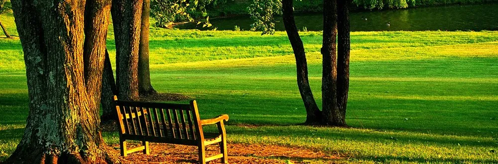 Expert yard maintenance for year-round maintenance across Boca Raton, FL - D.R's Lawn Service