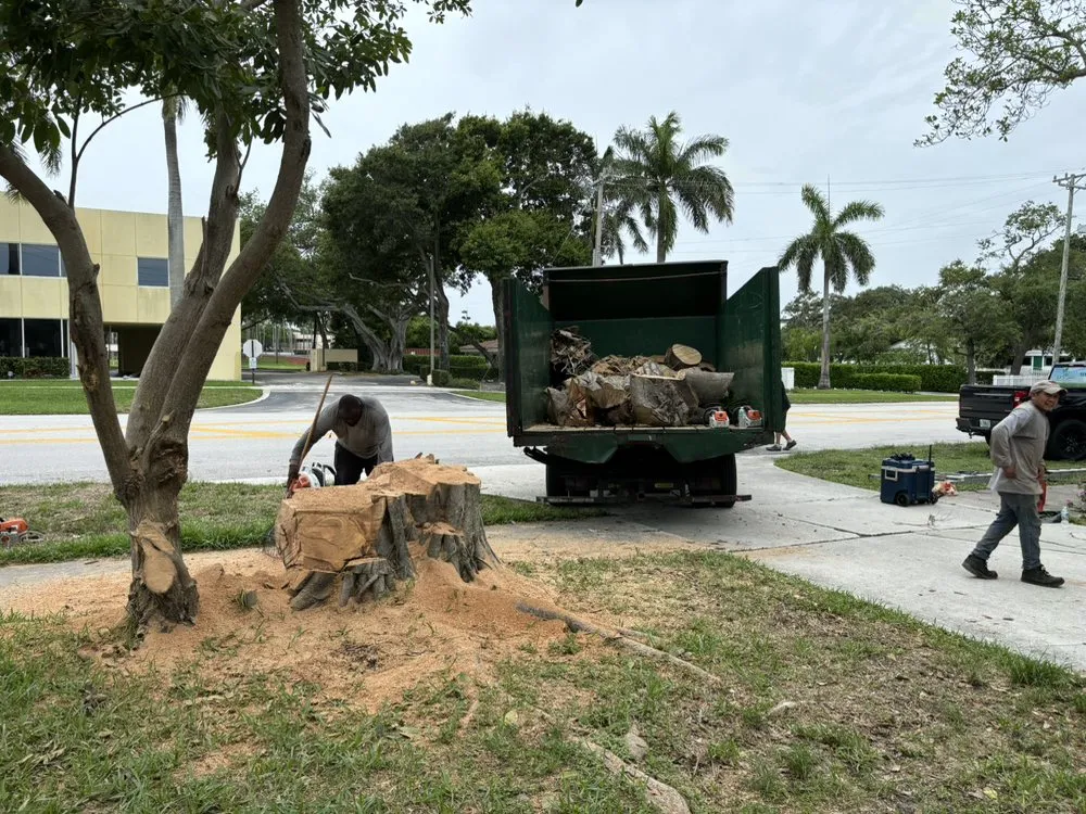 Custom landscaping services for year-round maintenance across Boca Raton, FL - D.R's Lawn Service