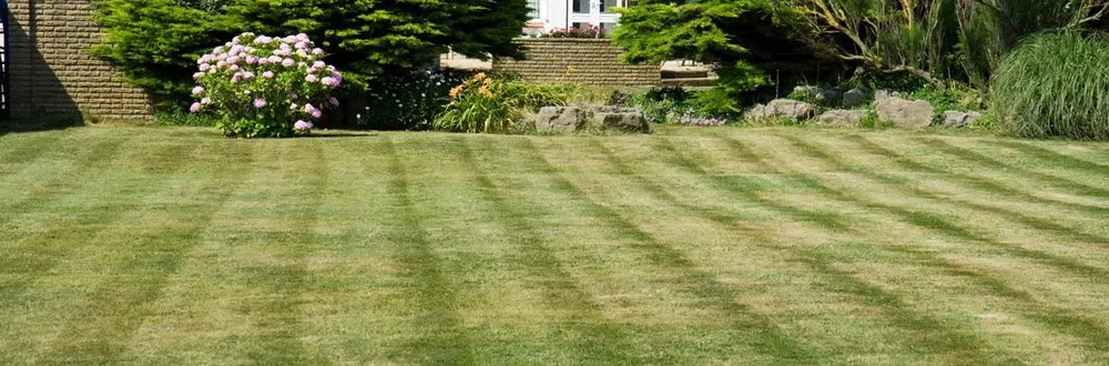 Reliable yard maintenance for residential properties across Boca Raton, FL - D.R's Lawn Service