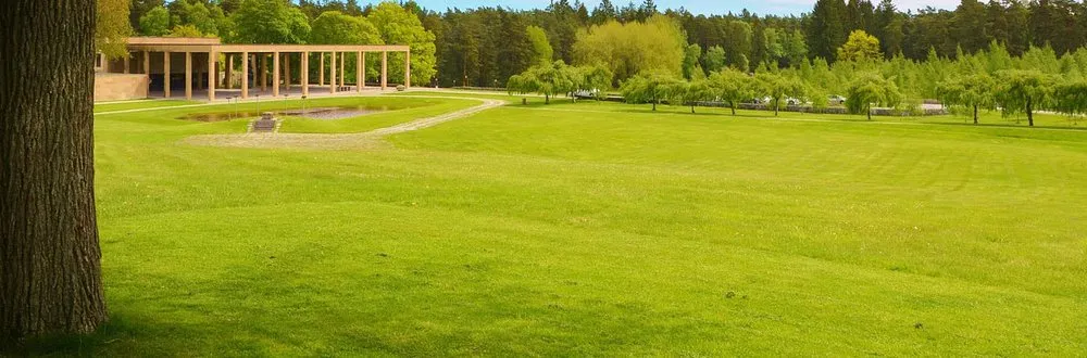 Local lawn care service experts serving Boca Raton, FL - D.R's Lawn Service