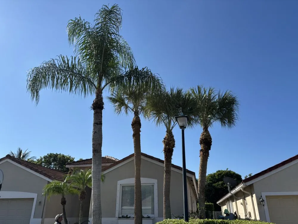 Professional lawn mowing service experts serving Boca Raton, FL - D.R's Lawn Service