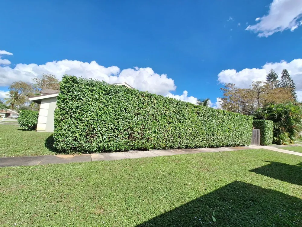 Professional lawn mowing service experts serving Boca Raton, FL - D.R's Lawn Service