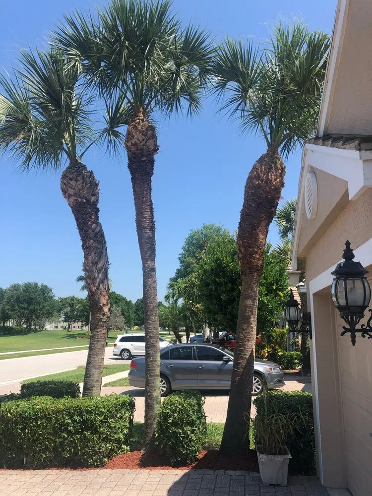 Affordable residential landscaping near you in Boca Raton, FL by D.R's Lawn Service