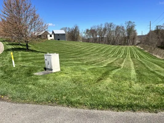 Drumm and sons Landscaping Logo