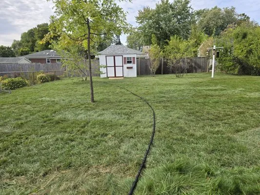 Drumm's Turf and Sawmill