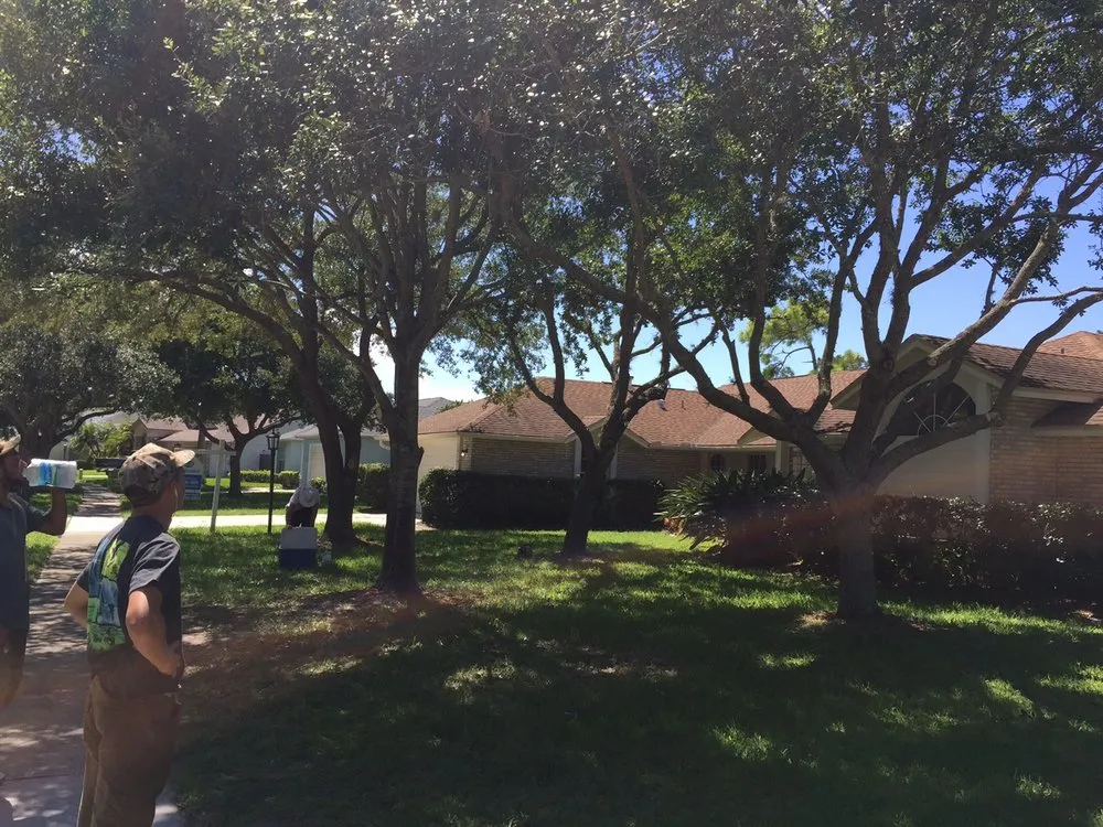 Trusted outdoor landscaping for year-round maintenance across Melbourne, FL - Druse Landscaping And Tree Services