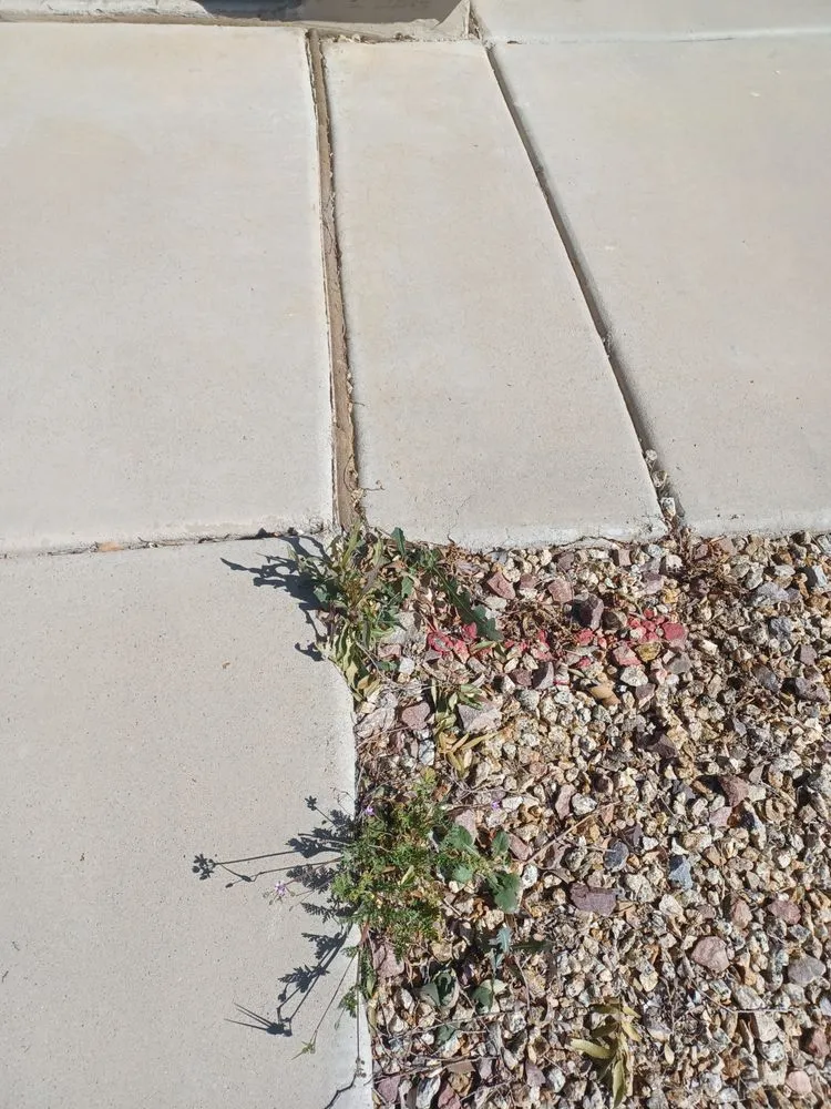 Affordable landscape design experts serving Maricopa, AZ - DruWest Landscape Management