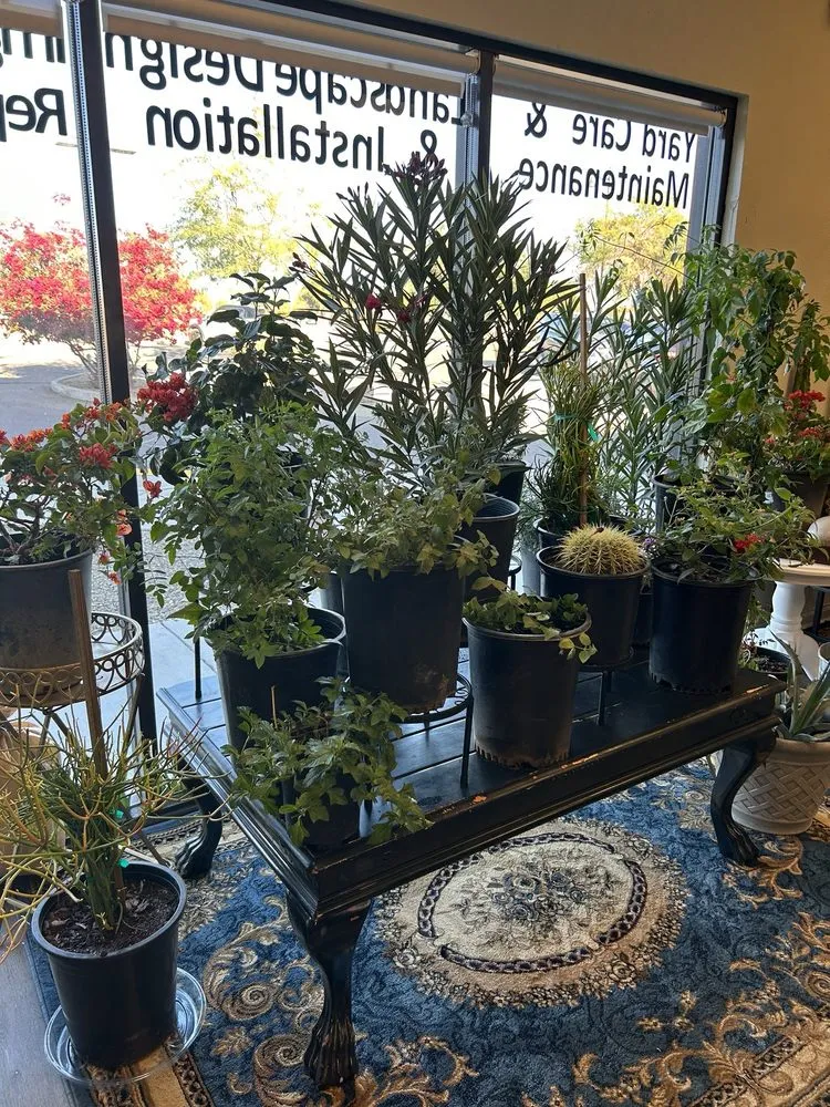 Custom yard cleanup service for outdoor upgrades in Maricopa, AZ by DruWest Landscape Management