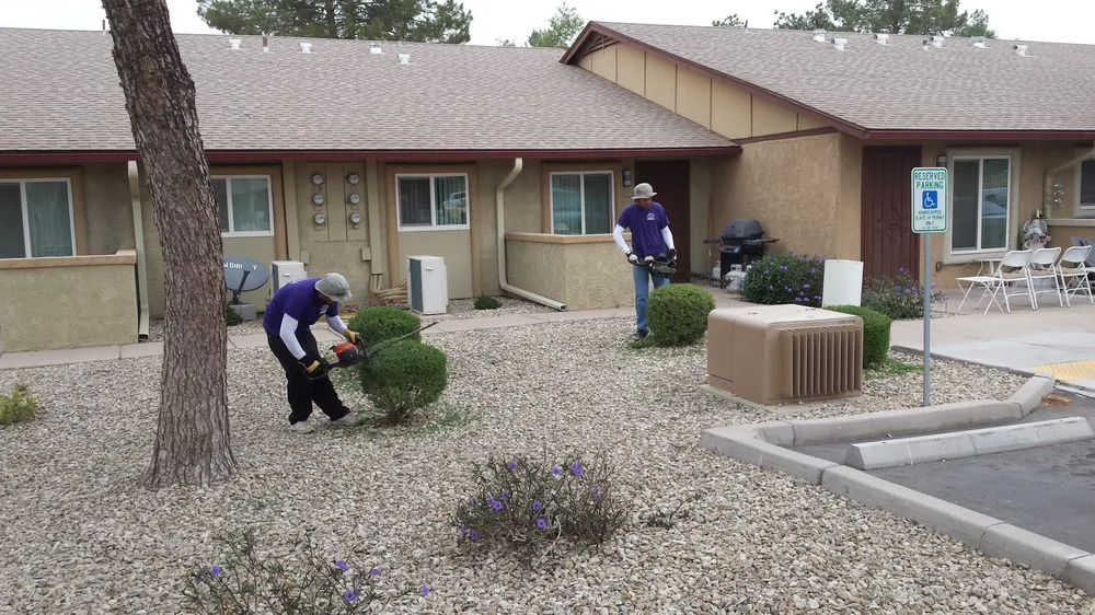 Trusted yard cleanup service in Maricopa, AZ - DruWest Landscape Management