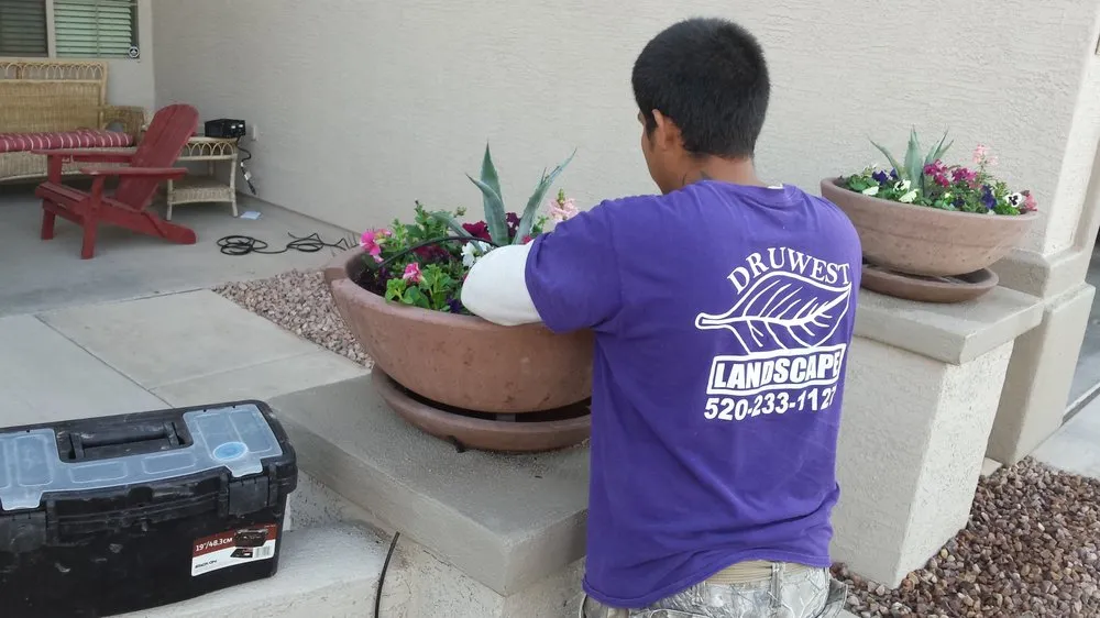 Affordable yard maintenance for beautiful yards across Maricopa, AZ - DruWest Landscape Management