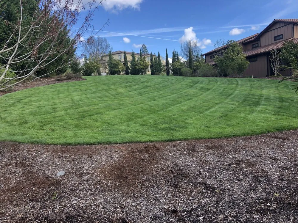 Trusted yard cleanup service in Hillsboro, OR - Dry Creek Landscape Maintenance