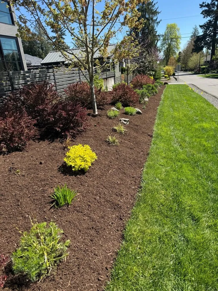 Expert residential landscaping experts serving Cornelius, OR - Dry Creek Landscaping and Construction