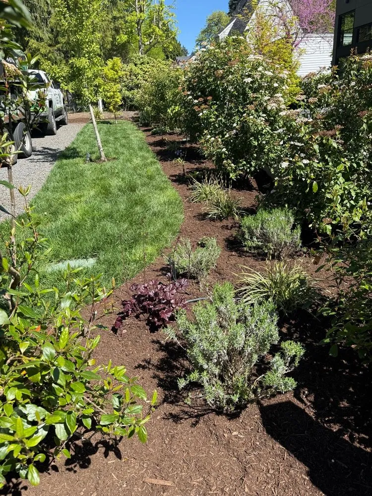 Expert residential landscaping experts serving Cornelius, OR - Dry Creek Landscaping and Construction