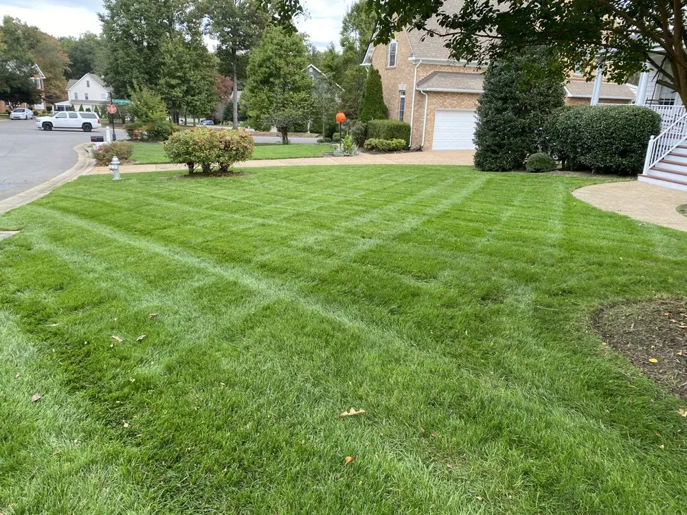 Trusted yard maintenance in Midlothian, VA by Dry Creek Landscaping