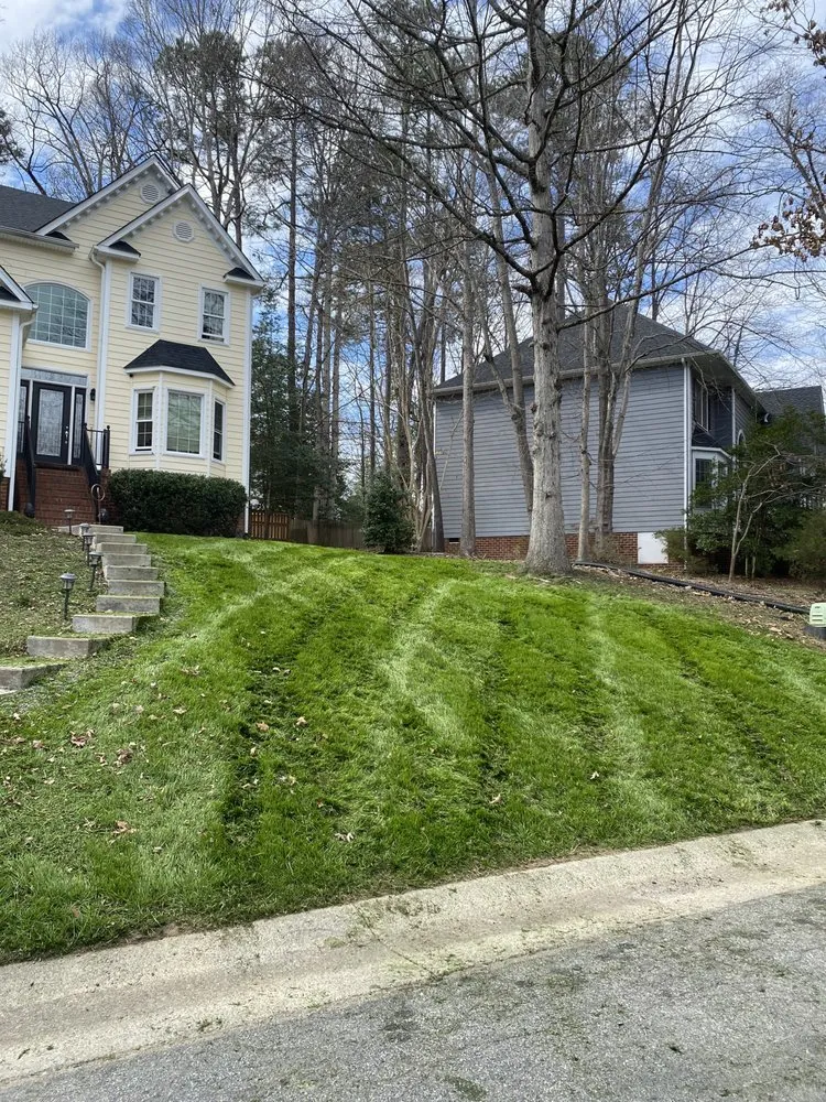 Top-rated yard cleanup service in Midlothian, VA by Dry Creek Landscaping
