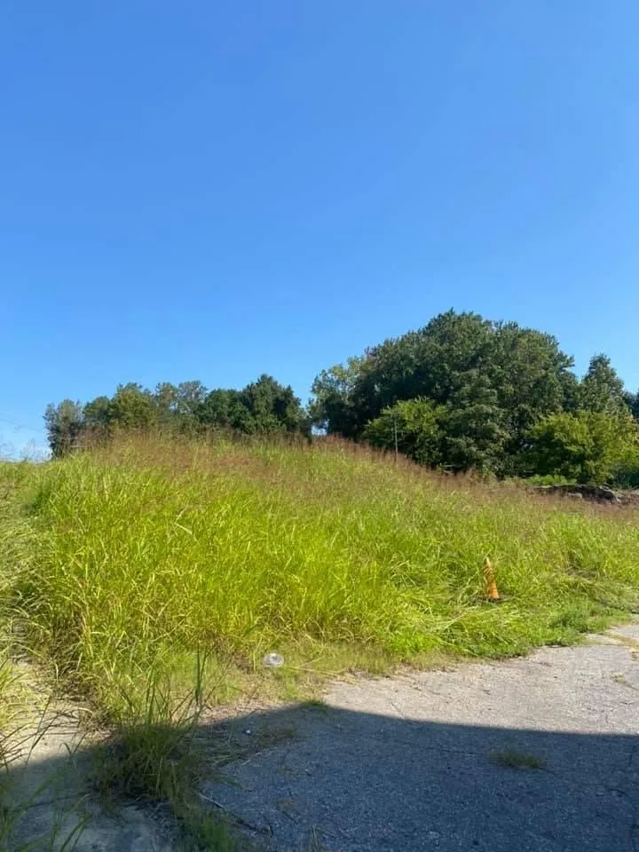 Local yard cleanup service for homes across Midlothian, VA - Dry Creek Landscaping