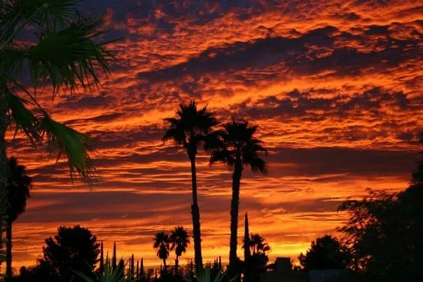 Top-rated outdoor landscaping experts serving Tucson, AZ - Dry Heat Landscaping