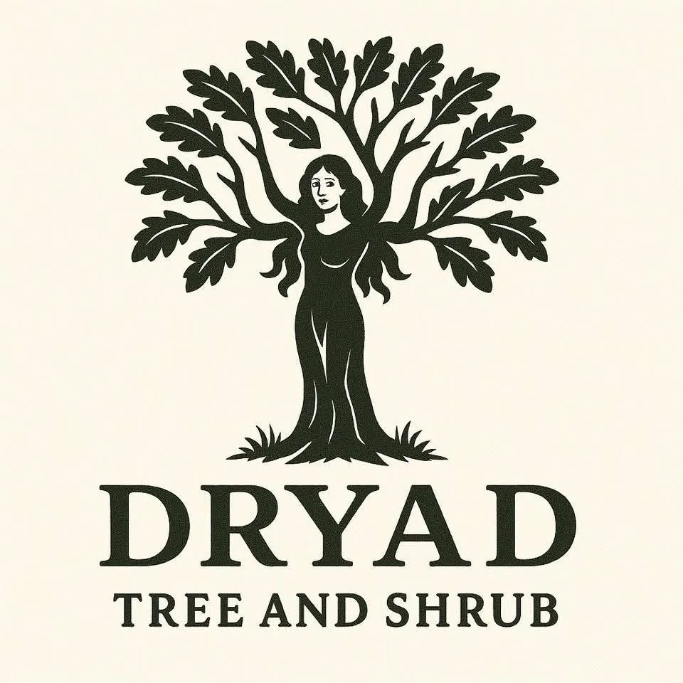 Trusted lawn care service for residential properties across Richmond Hill, GA - Dryad Tree and Shrub