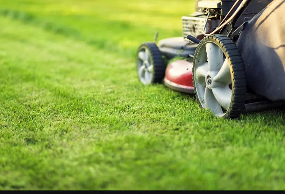 Reliable lawn mowing service in Nicholasville, KY - Dryden Mowing And Lawn Care