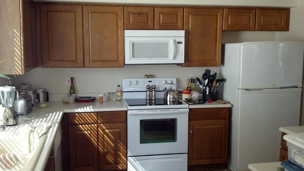 Reliable yard cleanup service experts serving Apache Junction, AZ - Dryland Homewerks