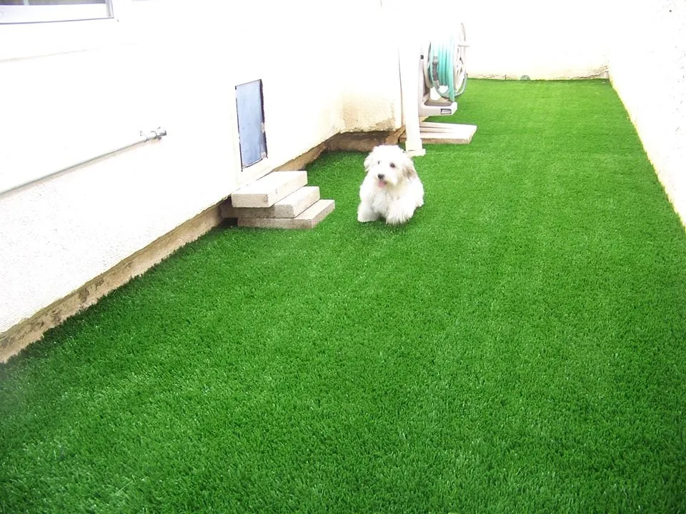 Top-rated residential landscaping in Simi Valley, CA - DryScape Designs