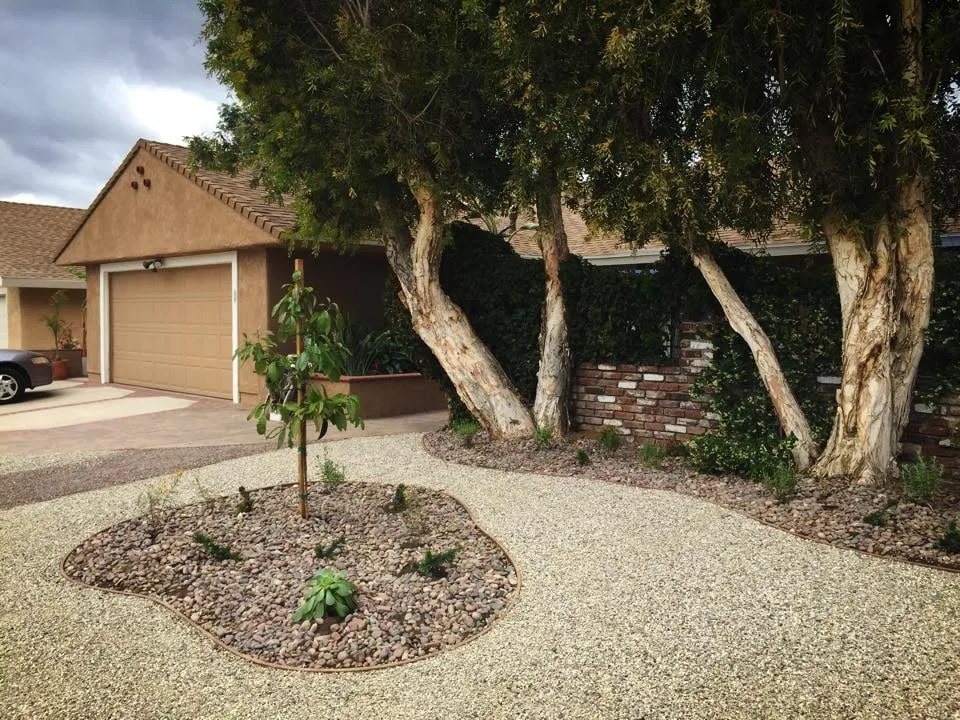 Trusted landscaping services experts serving Simi Valley, CA - DryScape Designs