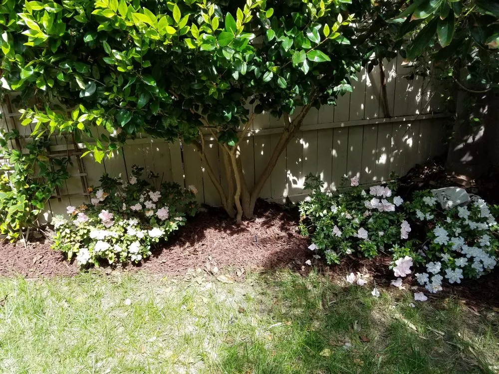 Top-rated yard cleanup service with custom design in Lake Elsinore, CA by DS Agriscapes