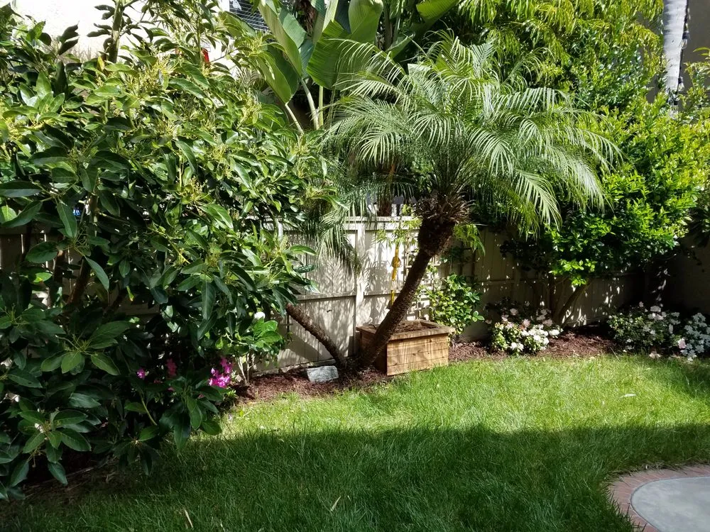 Professional lawn mowing service in Lake Elsinore, CA - DS Agriscapes