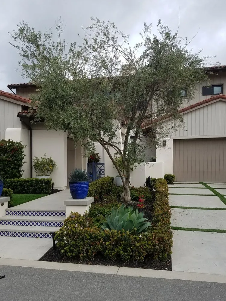 Professional landscape installation in Lake Elsinore, CA - DS Agriscapes