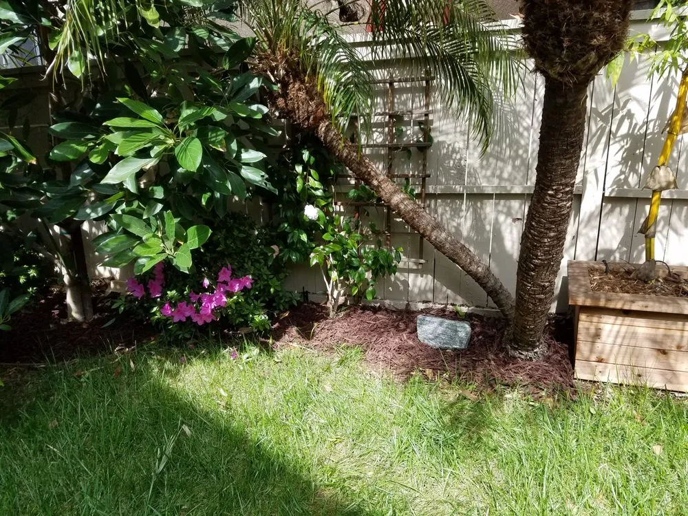 Reliable residential landscaping in Lake Elsinore, CA by DS Agriscapes