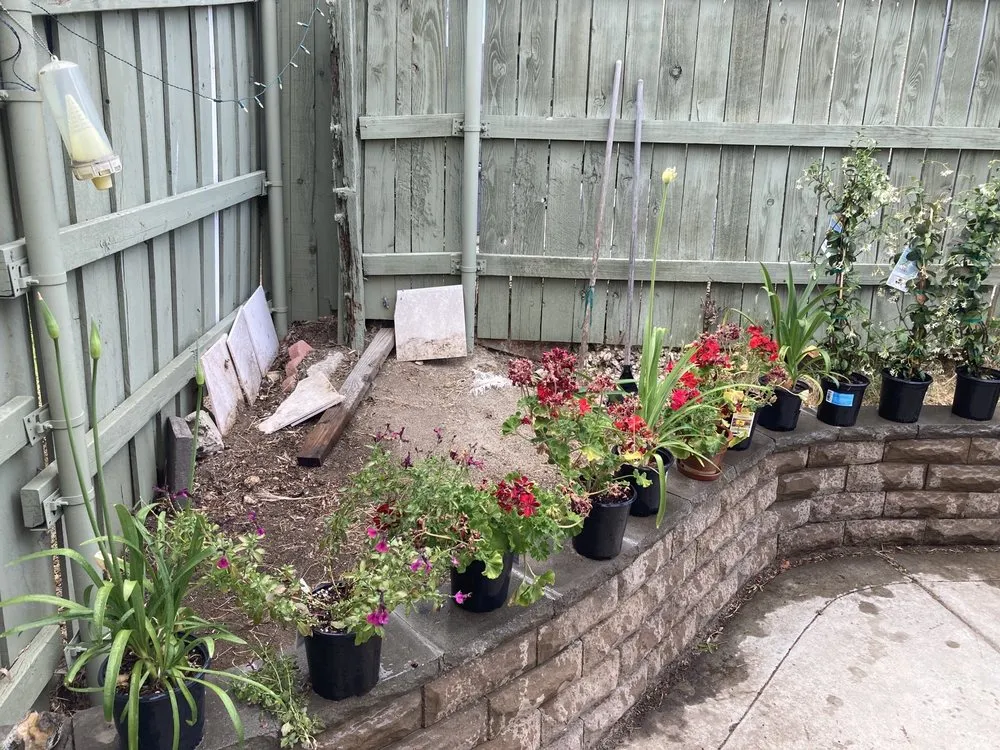 Reliable residential landscaping for outdoor upgrades in Lake Elsinore, CA by DS Agriscapes