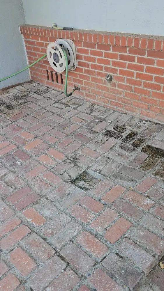 Affordable yard cleanup service experts serving Dinuba, CA - D&S Breathable Bins