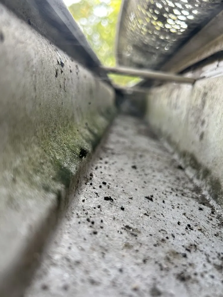 Expert outdoor landscaping experts serving Killingly, CT - DS Cleaning